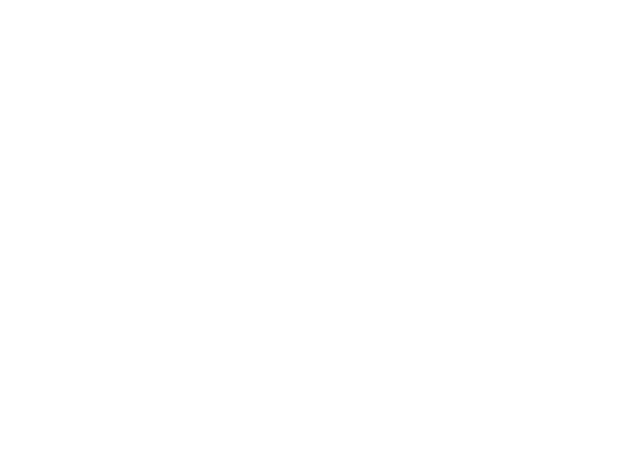 Vertex Global Services